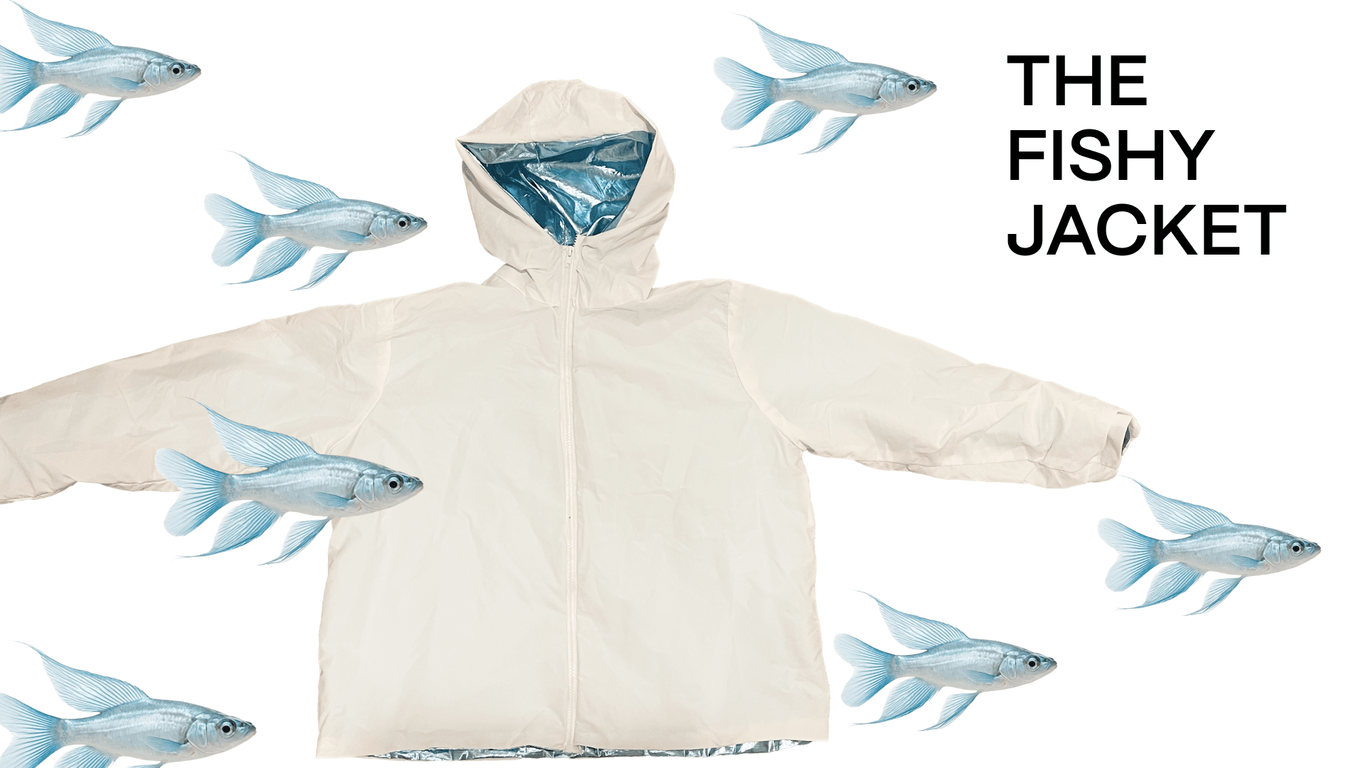 The Fishy Jacket